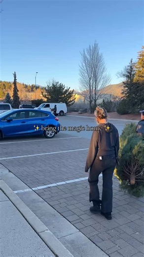 The Douglas Fir — soft needles, incredible fragrance, and one of the most classic Christmas trees you can bring home. 🌲✨ From that signature citrus-pine scent to its full, fluffy branches, it’s a favorite for families who love a traditional holiday feel. And when you pick yours out here at Warner’s, we’ll help you every step of the way — from choosing the perfect tree to securing it safely to your car for the ride home. Bring home the magic. 💚 | Warner's Nursery & Landscape Co.