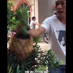 763K views · 5.6K reactions | Jaja ... Video divertido Intenta no reír Challenge 7 divertido para ti | Memes Robados | Facebook