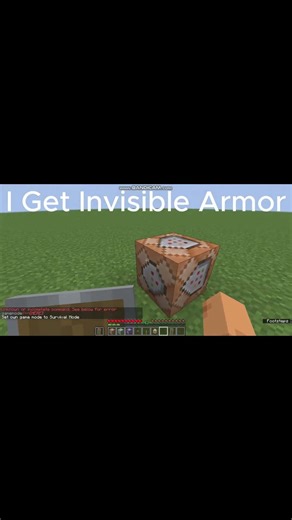 🐉 How to Get Invisible Armor in Minecraft 1.21.11