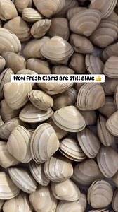 13 comments | Look at these fresh clams—so alive and ready for the perfect seafood meal! 寧 #FreshClams #SeafoodMarket #MarketFresh #SeafoodLovers #FreshFromTheMarket #SeafoodHeaven #ClamLovers #FreshAndAlive | Leona M Ramos | Facebook