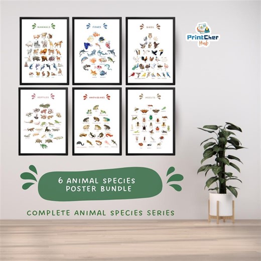 Animal Classification Poster Bundle, Science Classroom Decor (digital Download) - Etsy