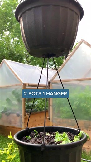 Vertical Gardening Hacks: Utilizing 2 Pots and 1 Hanger for Small Spaces