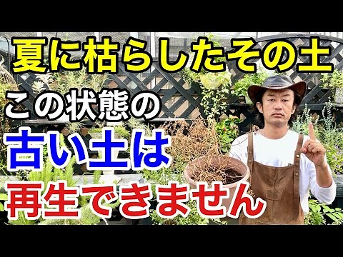 【やるの待って】植物を枯らした古い土を再生させるテクニック教えます 【カーメン君】【園芸】【ガーデニング】【初心者】