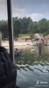 8K views · 232 reactions | The man who fell out of the JAWS ride…..  | The Daily Jaws | Facebook