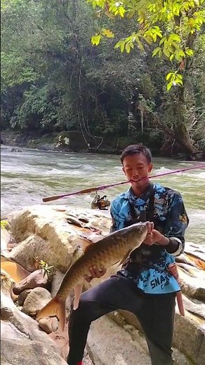 Lucky casting fishing in the interior of the forest upstream of the river #fishing #fishing #blus...