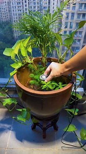 Smart Garden on Reels