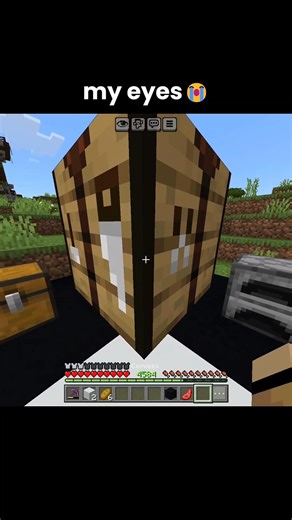 Minecraft Craziest illusion moments