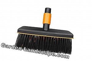 Plants: Broom - care, cutting, propagation and wintering | 2025