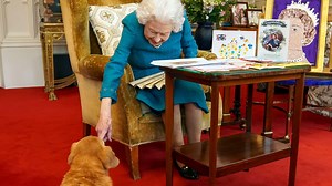 Queen pats pet dorgi as she reads cards celebrating 70 years on the throne