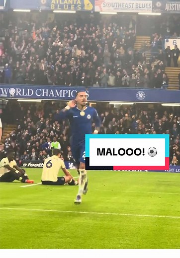 Chelsea FC vs Everton: Premier League Highlights and Insights