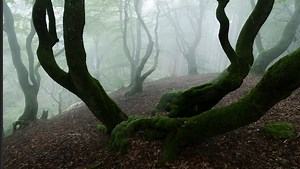 Simple Lightroom Techniques That Transform Your Photos