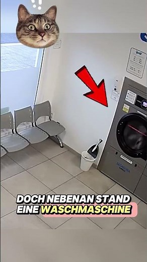 #shorts #short #funny #facts #foryou