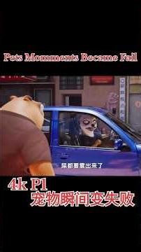 Pets Moments Became Fails #FunnyPets #PetMoments #FailsCompilation #PetLovers