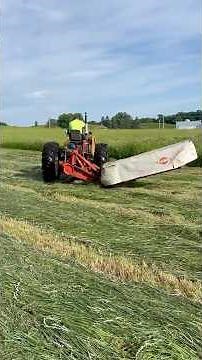 Farmall 706 Gas Cutting Hay with a Kuhn Disc Mower After Being Stuck