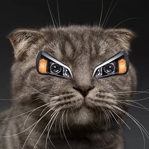 13K views · 14 reactions | Car Loan Payoff Contest: Enter to have...