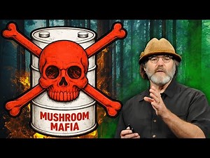 The Mushroom Mafia - Going Down The Portobello Rabbit Hole