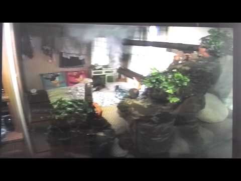 ドッキリ！早朝バズーカ