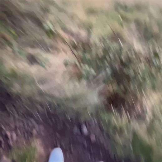 profitable market-making in 24 hrs.(i'd spent way too much time writing a proper post but even I wouldn't have read through that so here's tldr)- got accepted into and attended HackTheBurgh XII… | Aditya Pandey