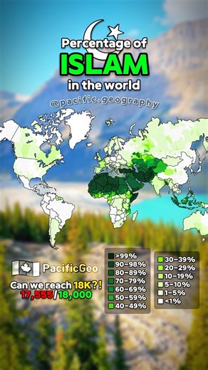 ☪️ Percent of Muslims in the world 🕋 #mapping #map #geography #islam
