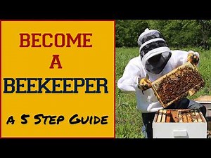 Begin Your Beekeeping Journey Today With These 5 Steps