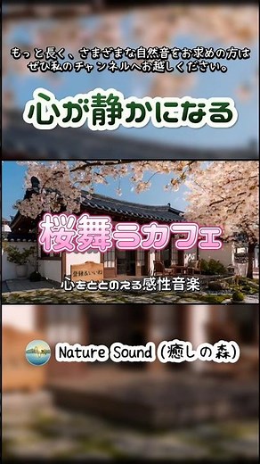 🌸桜が舞い落ちるカフェで聴く、心ほどける優しい音楽 🌸 心をととのえる感性音楽 #桜カフェ #桜舞う日 #春の音楽 #癒しの時間 #カフェBGM #リラックス音