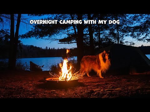 Overnight Camping With My Dog