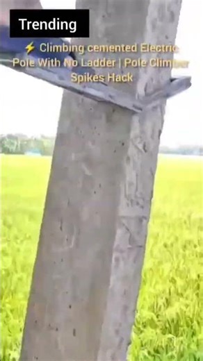 Climbing cemented Electric Pole With No Ladder | Pole Climber Spikes Hack #likeandsubscribe