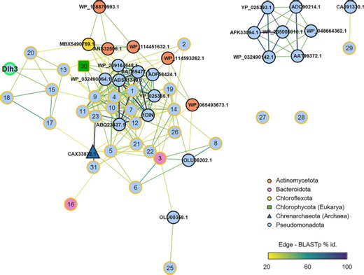 New dienelactone hydrolase from microalgae bacterial community-Antibiofilm activity against fish pathogens and potential applications for aquaculture - Scientific Reports