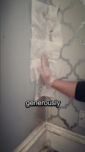 How to Get Rid of Black Mold #MoldRemoval #HowToRemoveMold