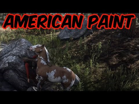 Wild American Paint location RDR2