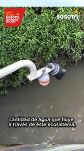 Adriana Soto presenta la nueva estación de monitoreo en el humedal Córdoba