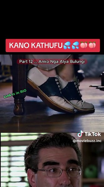 KANO KATHUFU: Best Movie Clips with Cats and Dogs