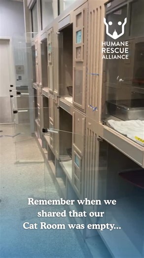 Remember when we shared that our Cat Room was empty...and that an update was coming? 🐾 Empty kennels are rare—but when that space does open up, it creates an important opportunity to help. This week, that opportunity meant answering the call when Brandywine Valley SPCA reached out for support—and bringing a whole group of their cats into our care tonight. And we’re not done yet—more cats and kittens are arriving tomorrow from another shelter at capacity. Very soon, our kennels will be full of n