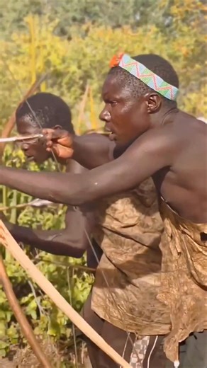They Tried to Calm the Wild… Then Lost Control | Bush Awareness!