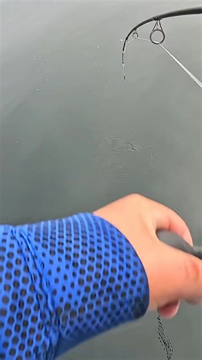 Limited out #trending #fishing #pnw #shorts #fyp #oregon #fish #bottomfishing | Reel Fishy