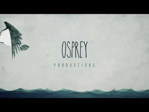 The Firm/Osprey Productions/ABC Studios/Sony Pictures Television (2016) #1