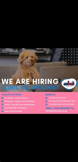 WE’RE HIRING - CLINIC RECEPTIONIST Wet Nose Animal Clinic is looking for a friendly, reliable Clinic Receptionist to join our closely-knit team. This role is perfect for someone who: - Is polite, responsible, and well-spoken - Has good computer literacy - Is bilingual (English & Afrikaans) - Has their own reliable transport - Feels right at home around animals As the face of our clinic, you’ll be the first warm welcome our clients and patients receive. In return, you’ll get to work in a friendly