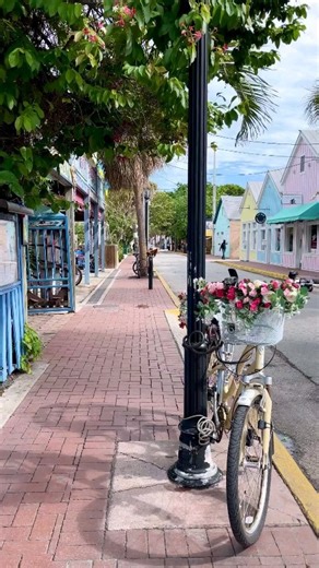 116 reactions · 8 comments | Pretending like it’s the weekend now  Have you been to Blue Heaven in Key West? . . ➢ Credit   @the_sunnyside_up . . ➢ Alliance @america_states @enjoy_la_ @latinbrazil . . #conexaoamerica #florida #dream #KeyWest #YouShouldBeHere | Conexão América | Facebook