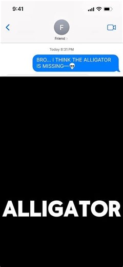 The Baby Alligator ESCAPED From The Box 🐊 (Part 2) | #shorts