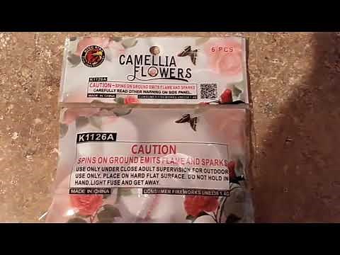 Camellia Flowers King Bird Fireworks