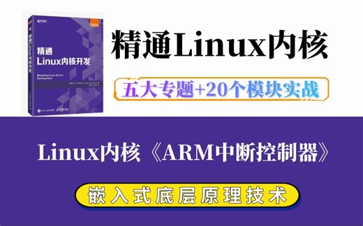 【深入理解Linux内核】Linux内核《ARM中断控制器》|内存调优/文件系统/进程管理/设备驱动/网络协议栈