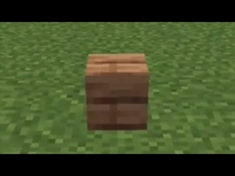 How to Get a Jungle Plank Custom Head in Minecraft