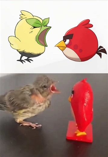 angry pokemon bird vs chill angry bird #angrybirds #pokemon #pokemonwindswaves