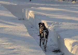 UPDATE: Weather Forecasts Predict Snow in Annapolis