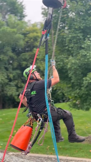 Single picks and smooth lifts. One dead ash tree at a time. 🏗️🌳 #225ton #protree #proteam #treeremoval #arboristlife | Pro-Tree Outdoor