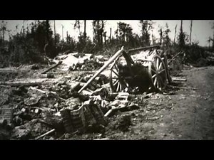Words from Mametz Wood