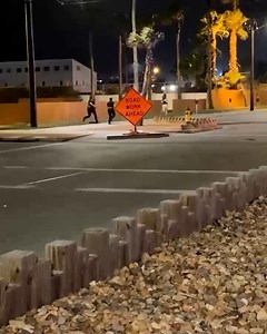 2.9M views · 10K reactions | What a beautiful sight, these fine creatures captured in the wild, galloping free... (sound up) | Welsh Bollocks | Facebook