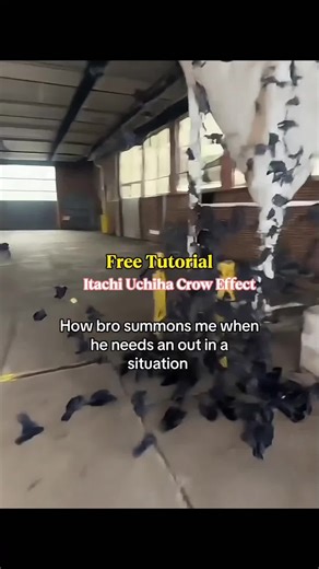 how to do the uchiha tutorial itachi uchiha crows tutorial itachi turns into crows itachi uchiha calling crows itachi uchiha army of crows itachi using his crows how to use itachi crows in storm how to do Itachi Uchiha crow tutorial how to do Uchiha jutsu tutorial Itachi Uchiha crows edit tutorial how to use Itachi crows in Naruto Storm how to edit Itachi turning into crows in CapCut Itachi Uchiha crow clone effect tutorial Itachi cosplay crow summoning edit guide Itachi crows genjutsu CapCut ef