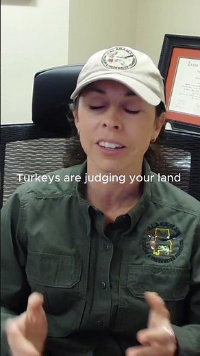Want to know more about attracting turkeys to your land? Watch our full episode.