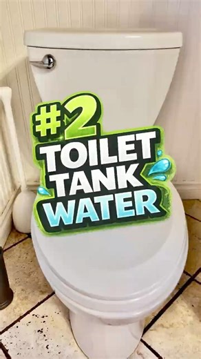 You Can Drink This Toilet Water (In an Emergency)